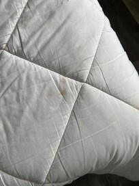 Random red stain on the comforter