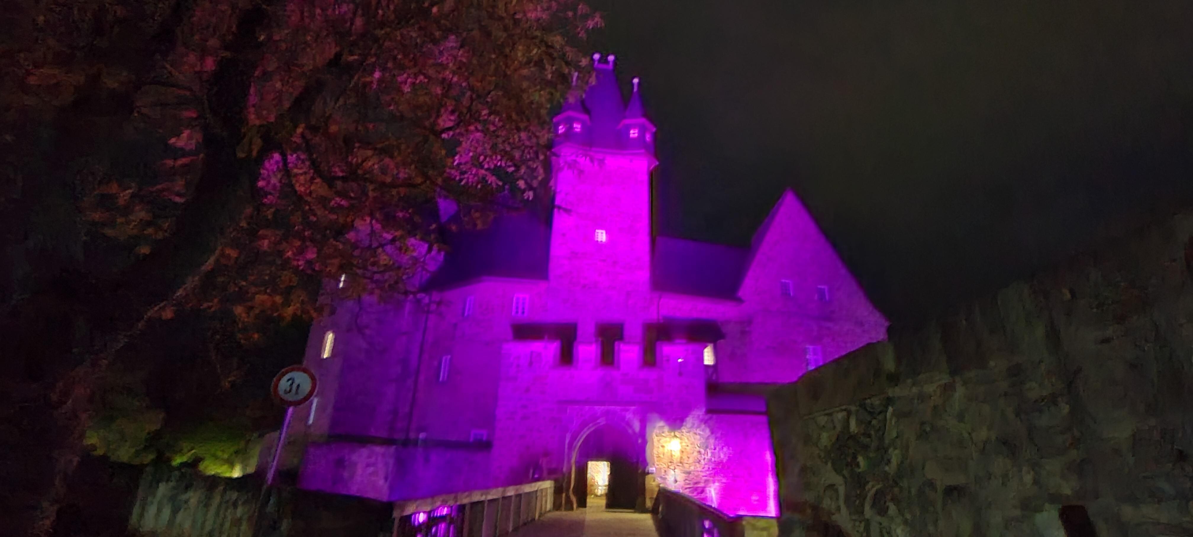  The castle at night