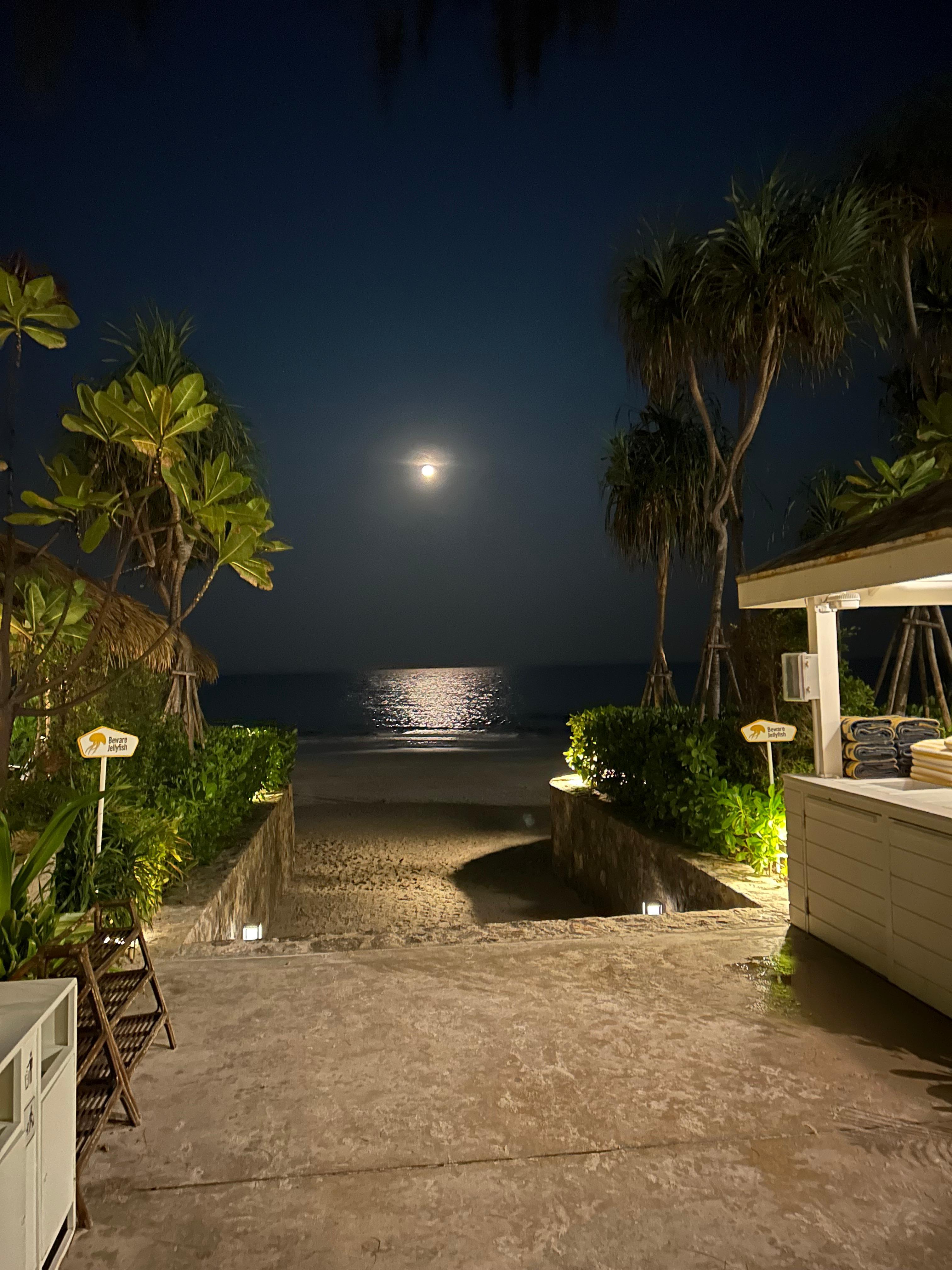  Beach just outside hotel at night