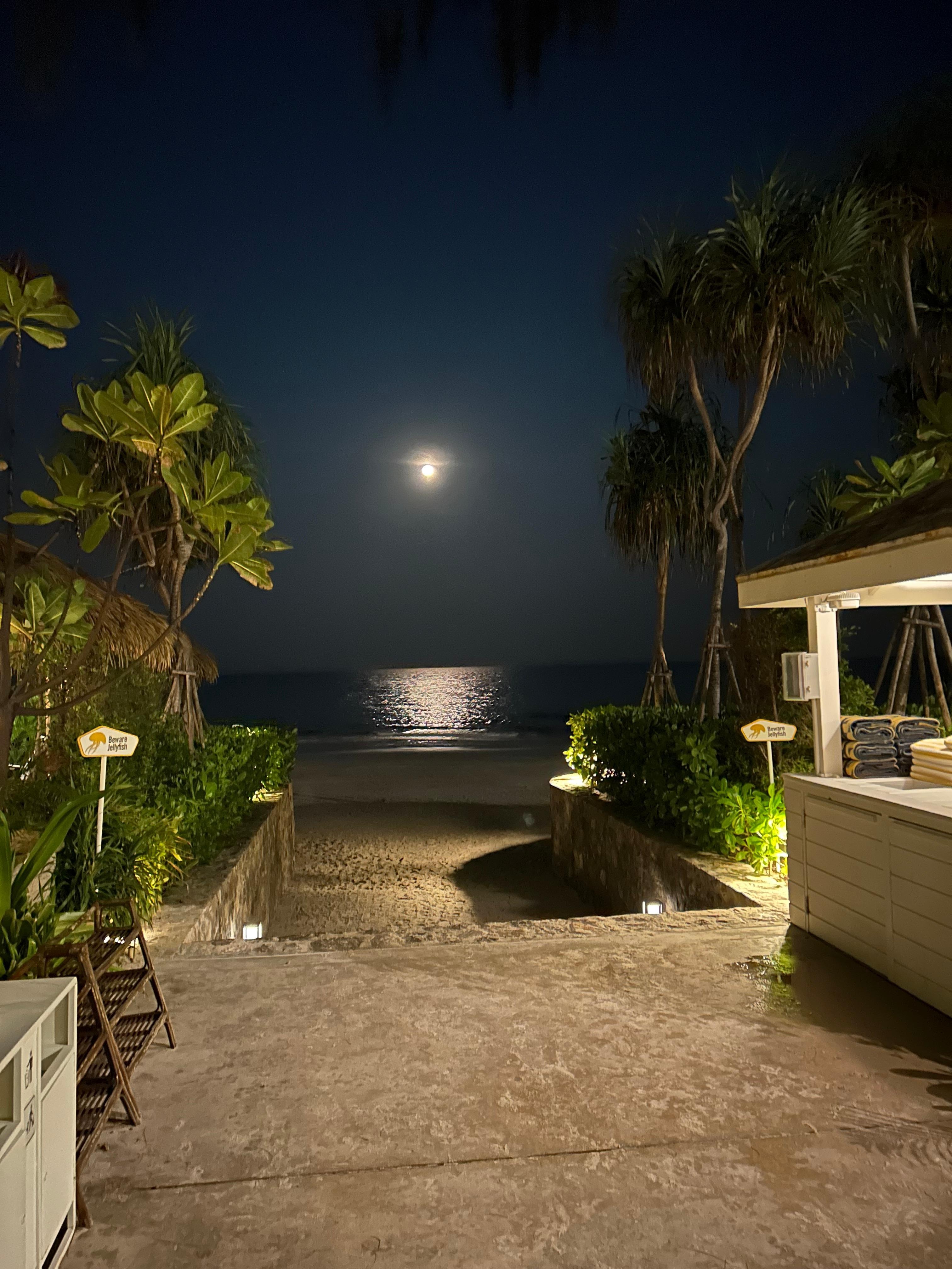 Beach just outside hotel at night
