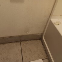 Bathroom floor