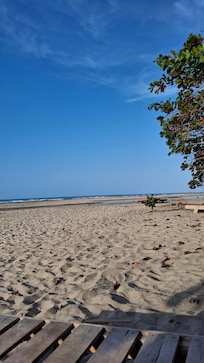 Playa exclusiva.