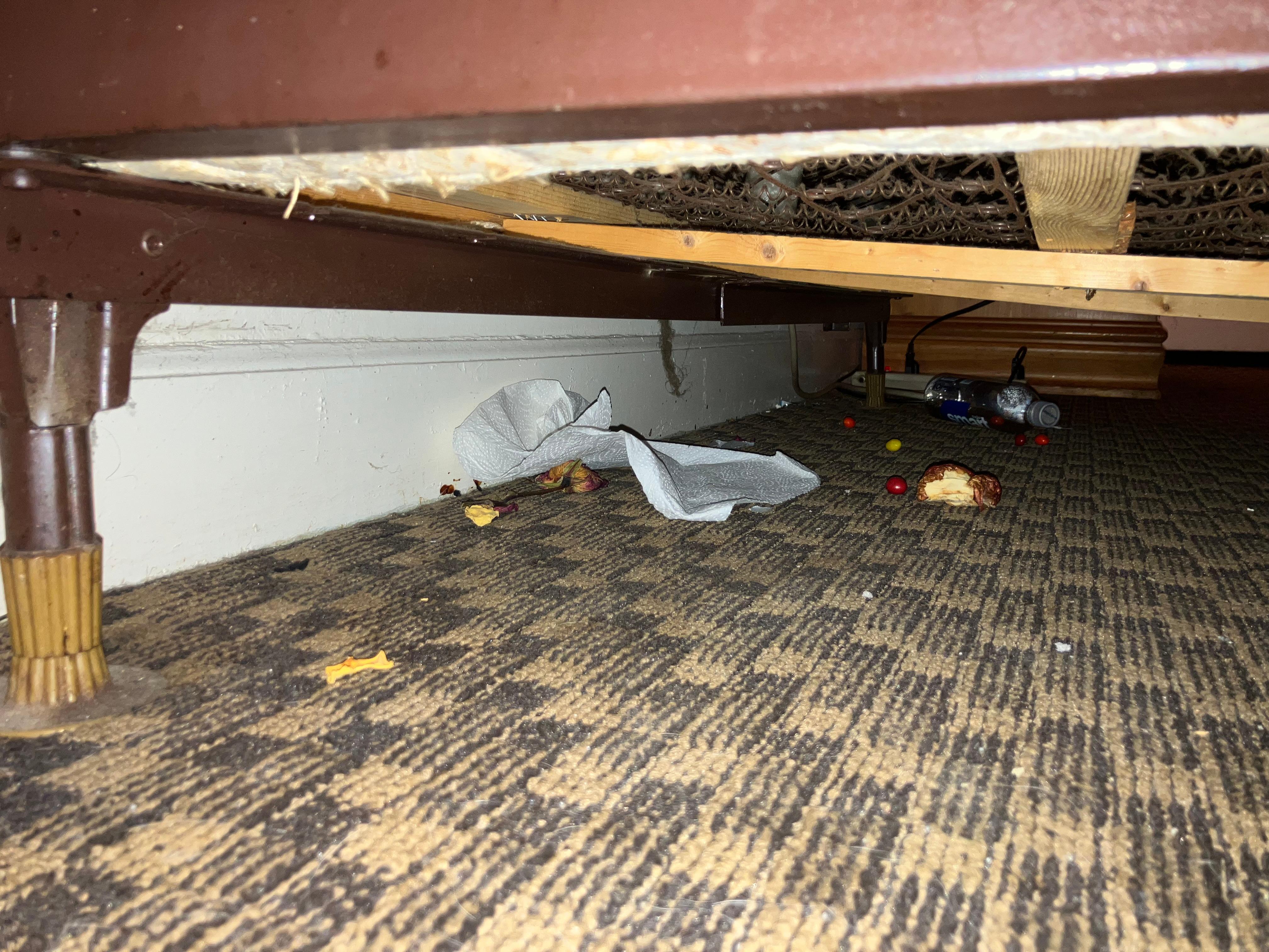 Apple cores under the bed