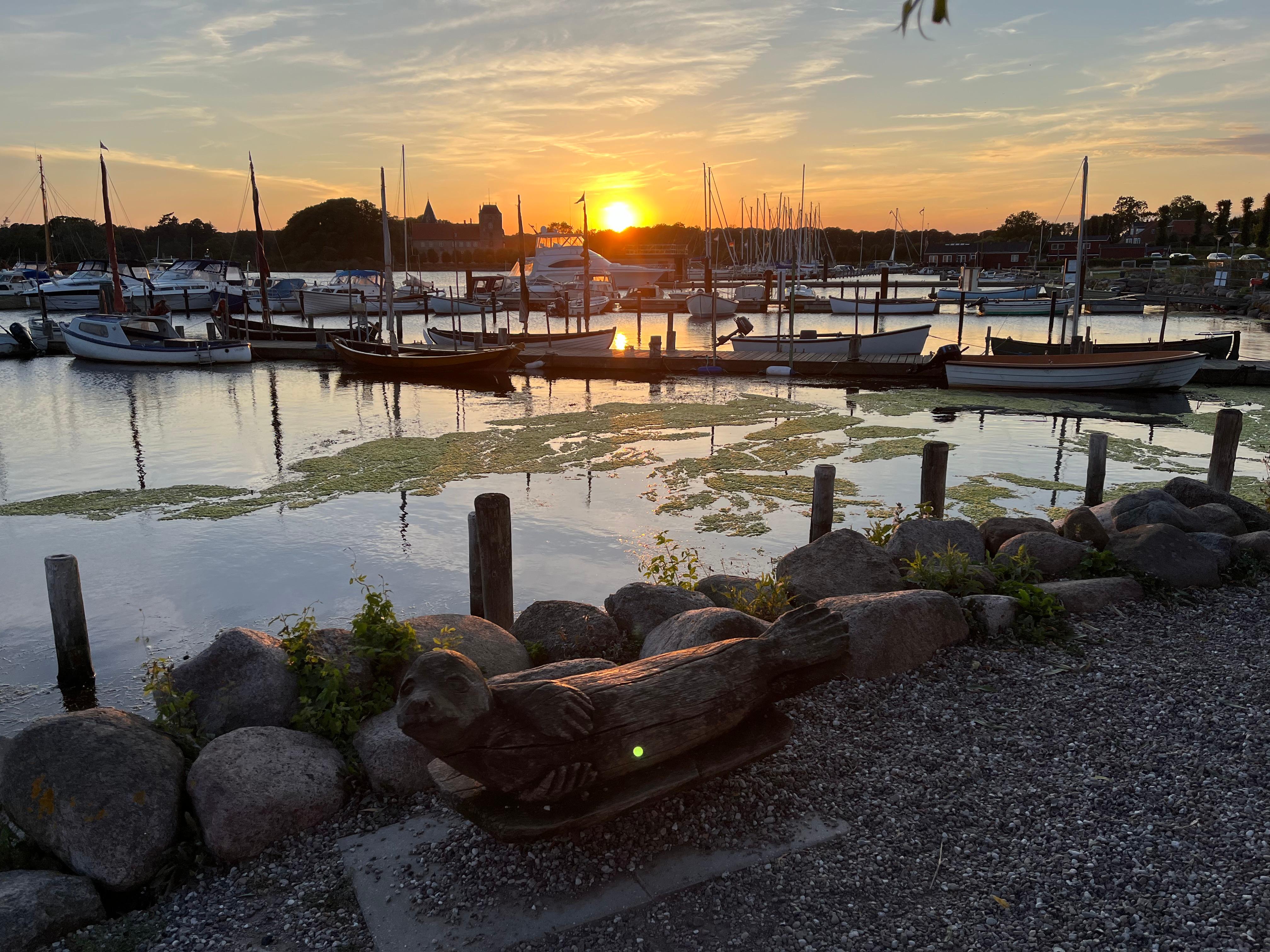 Solnedgang på havnen