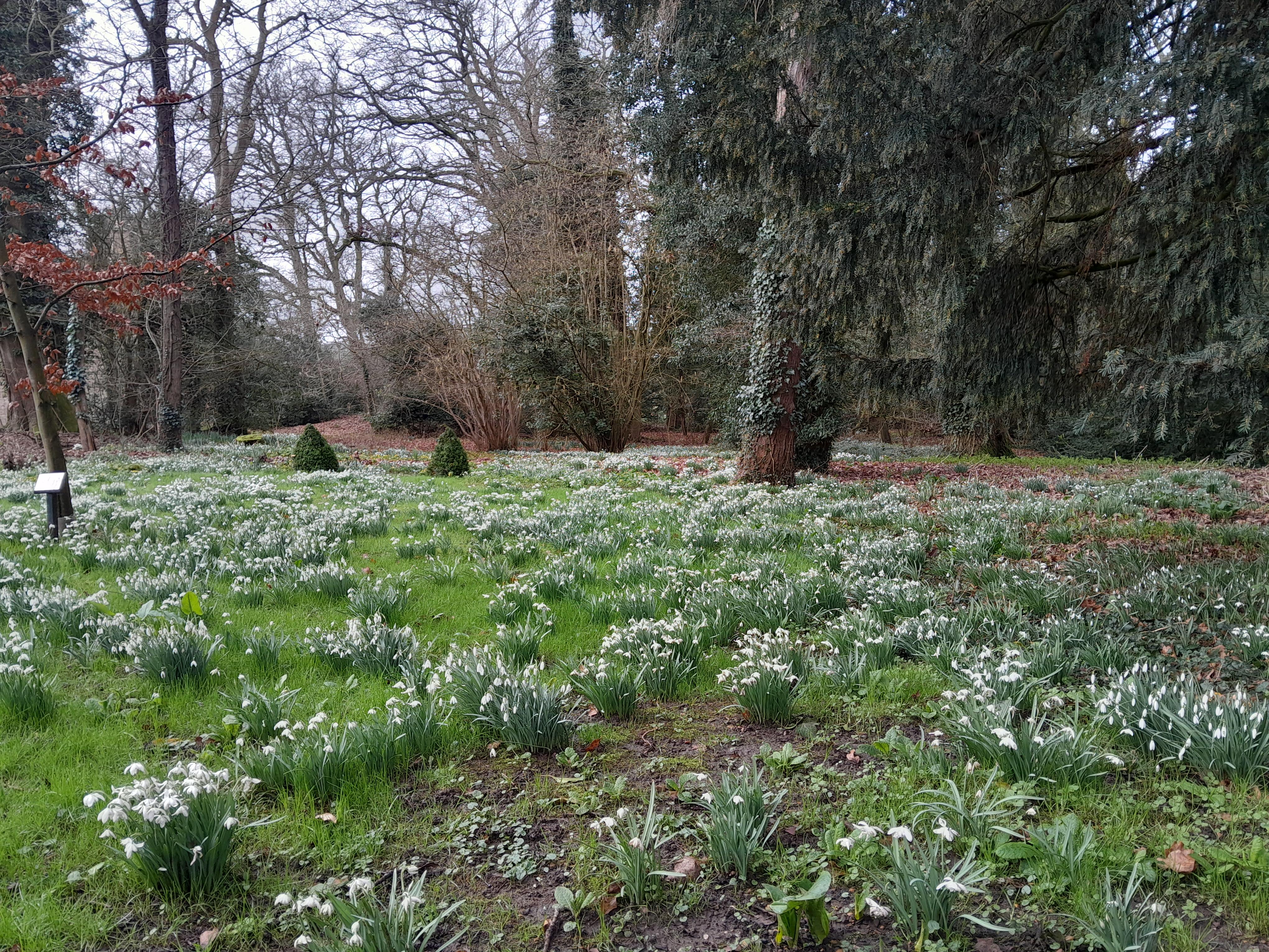 Garden walks