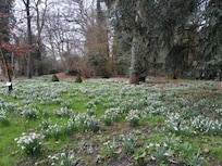 Garden walks
