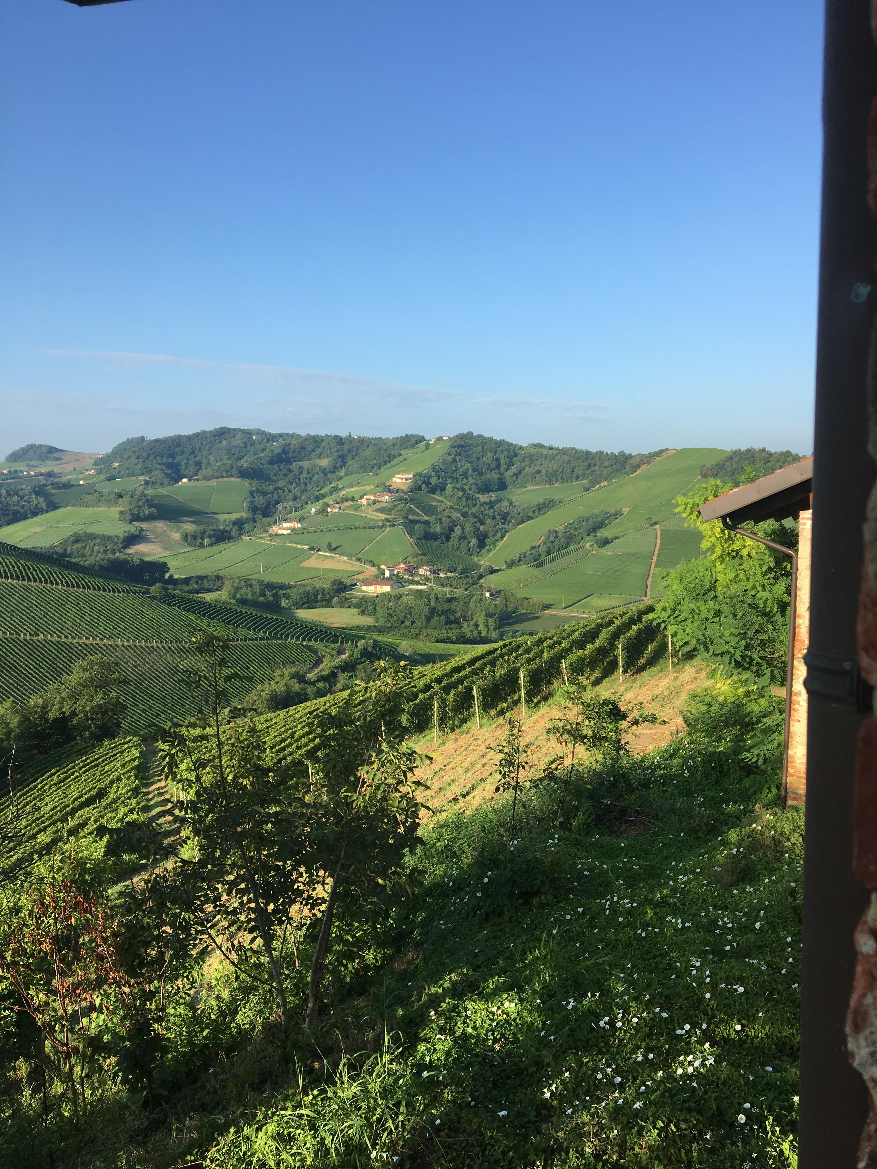 Vue de la chambre du Rez.