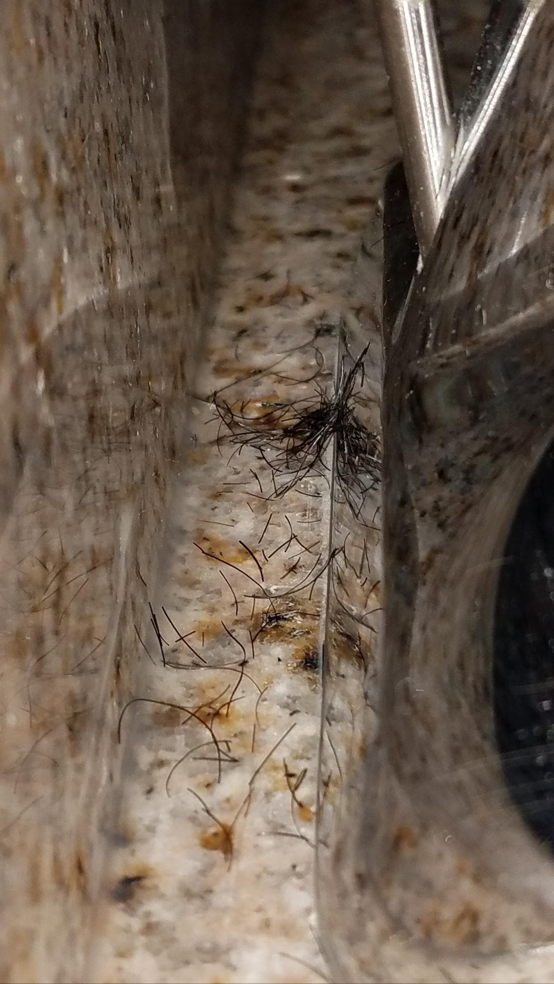 Hair behind sink