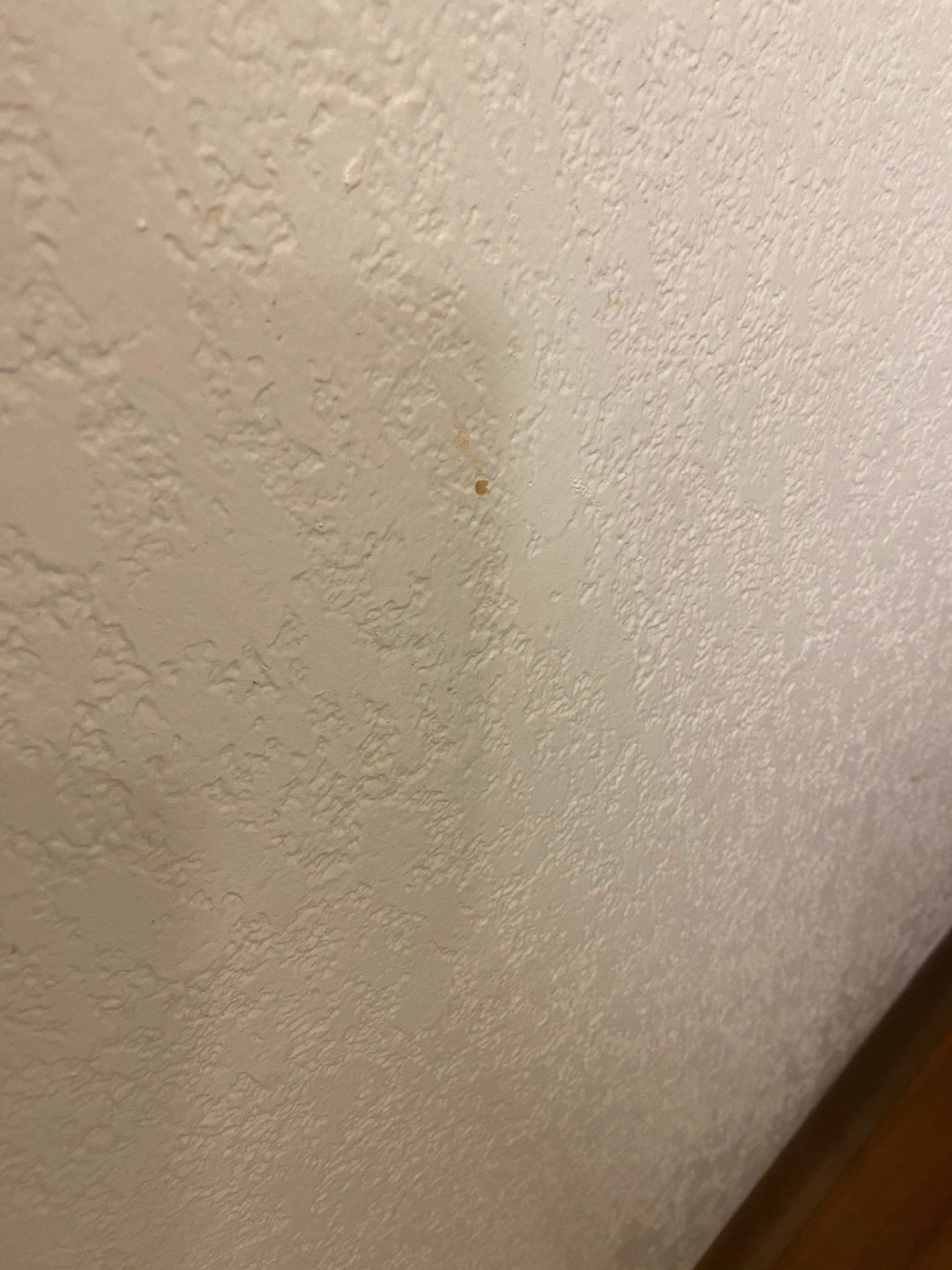 Blood next to toilet