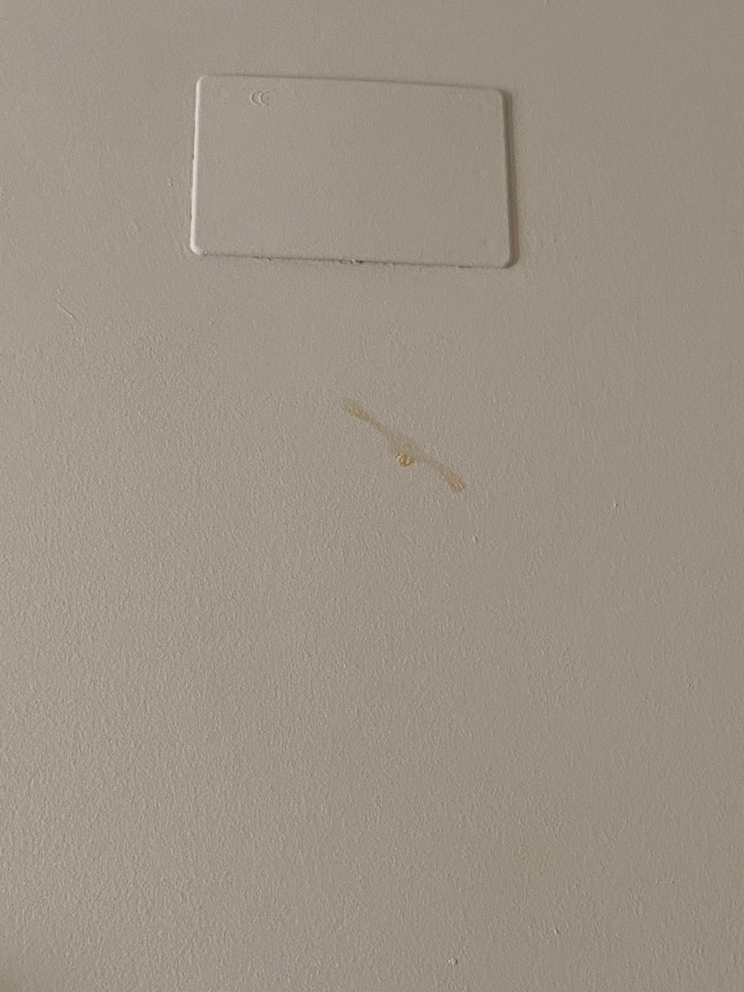 Slime on wall