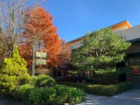 2020-11-28 秋天