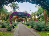 Le magnifique parc tout près