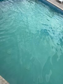 Eau trouble de la piscine