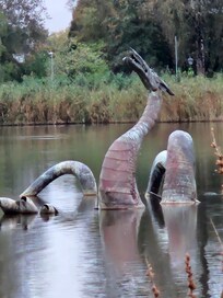Llandrindod Wells lake