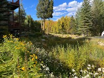 View of foliage in the complex