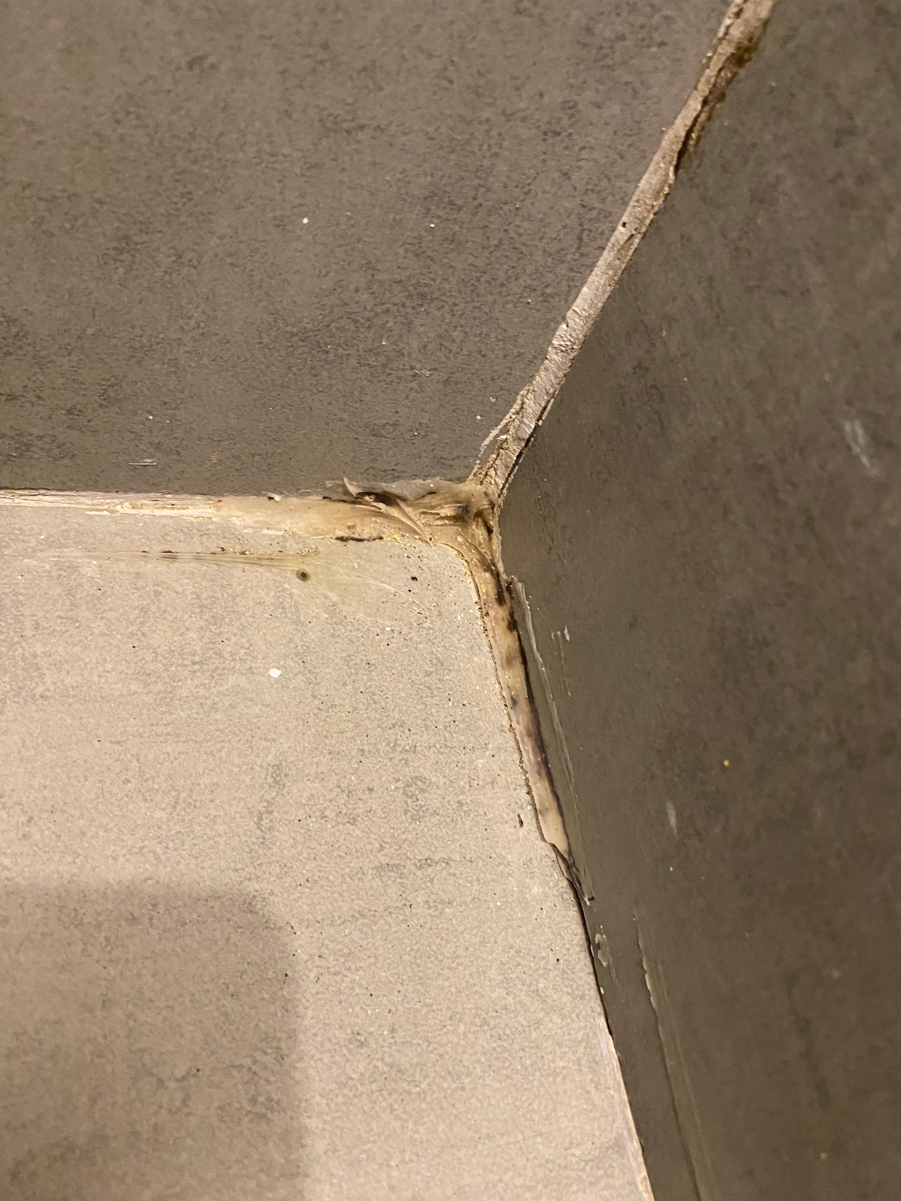 Mold in shower 