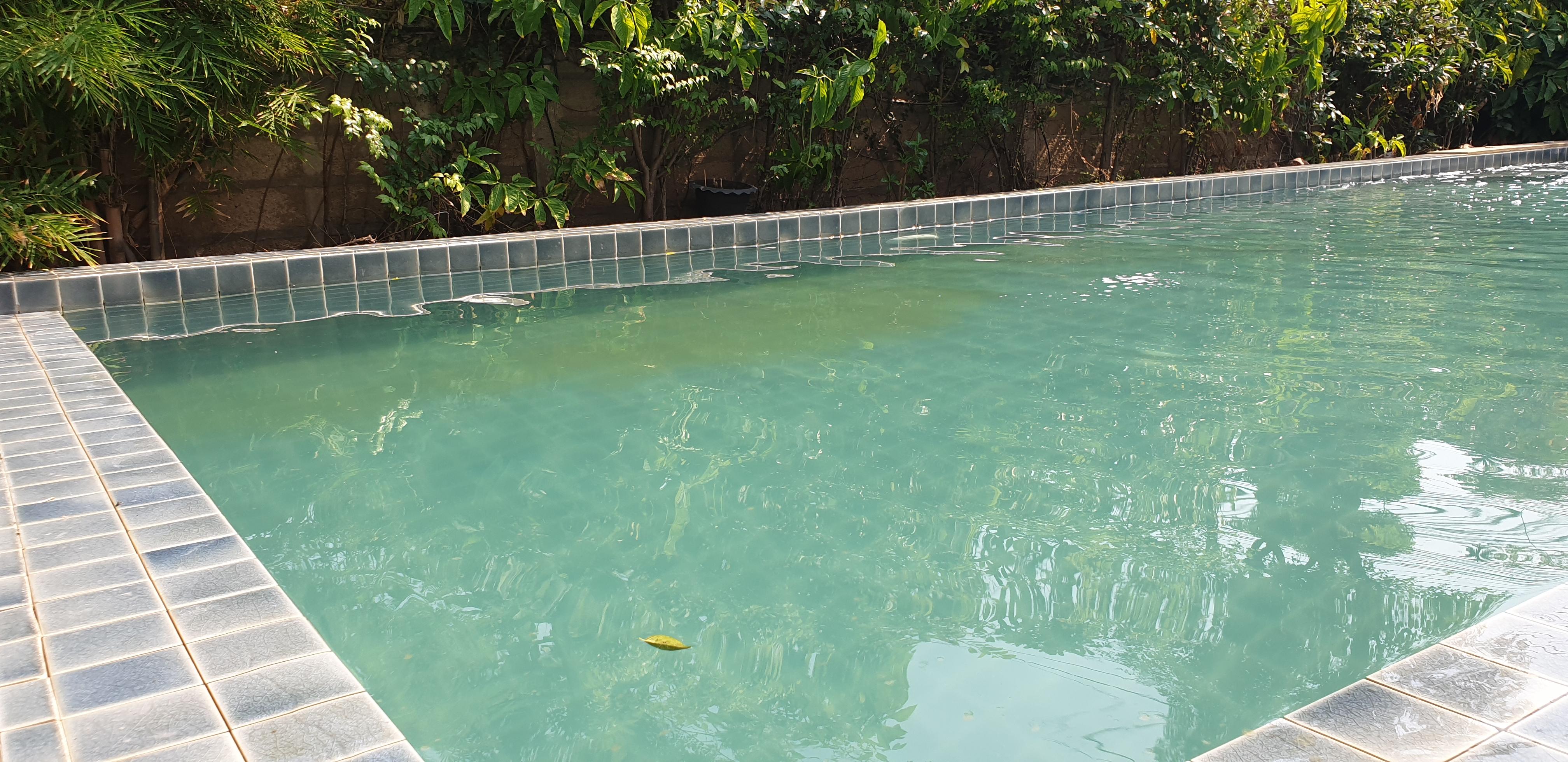 Oily, dirty residue in the pool water