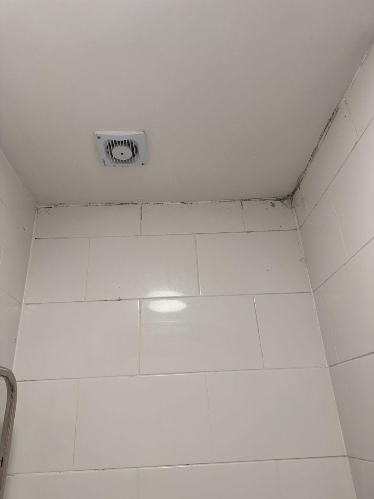 Extensive mould around the bathroom