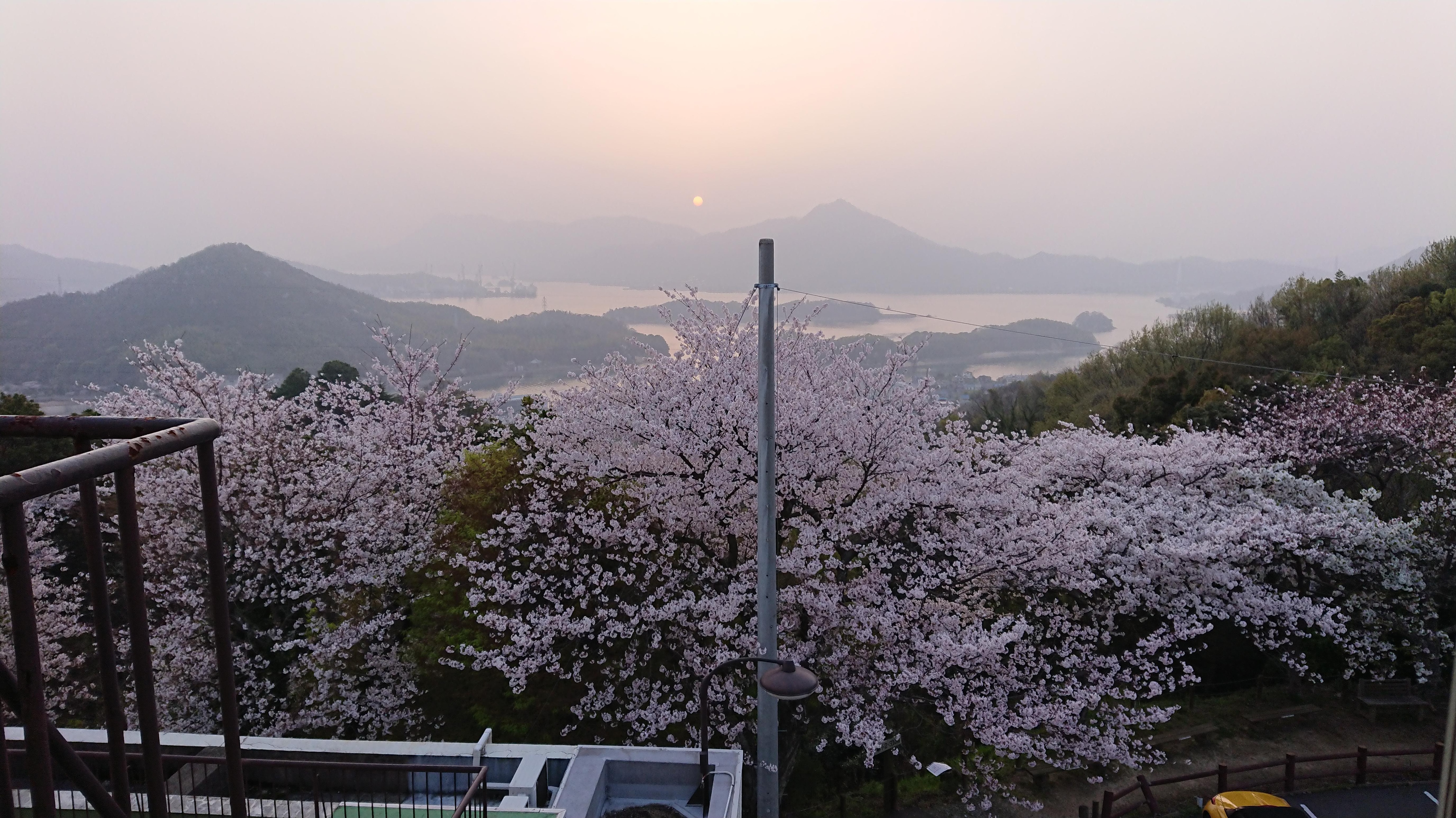 お風呂から見える夕陽です。