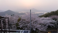 お風呂から見える夕陽です。