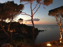 Night view of the grounds up lighting the umbrella pines