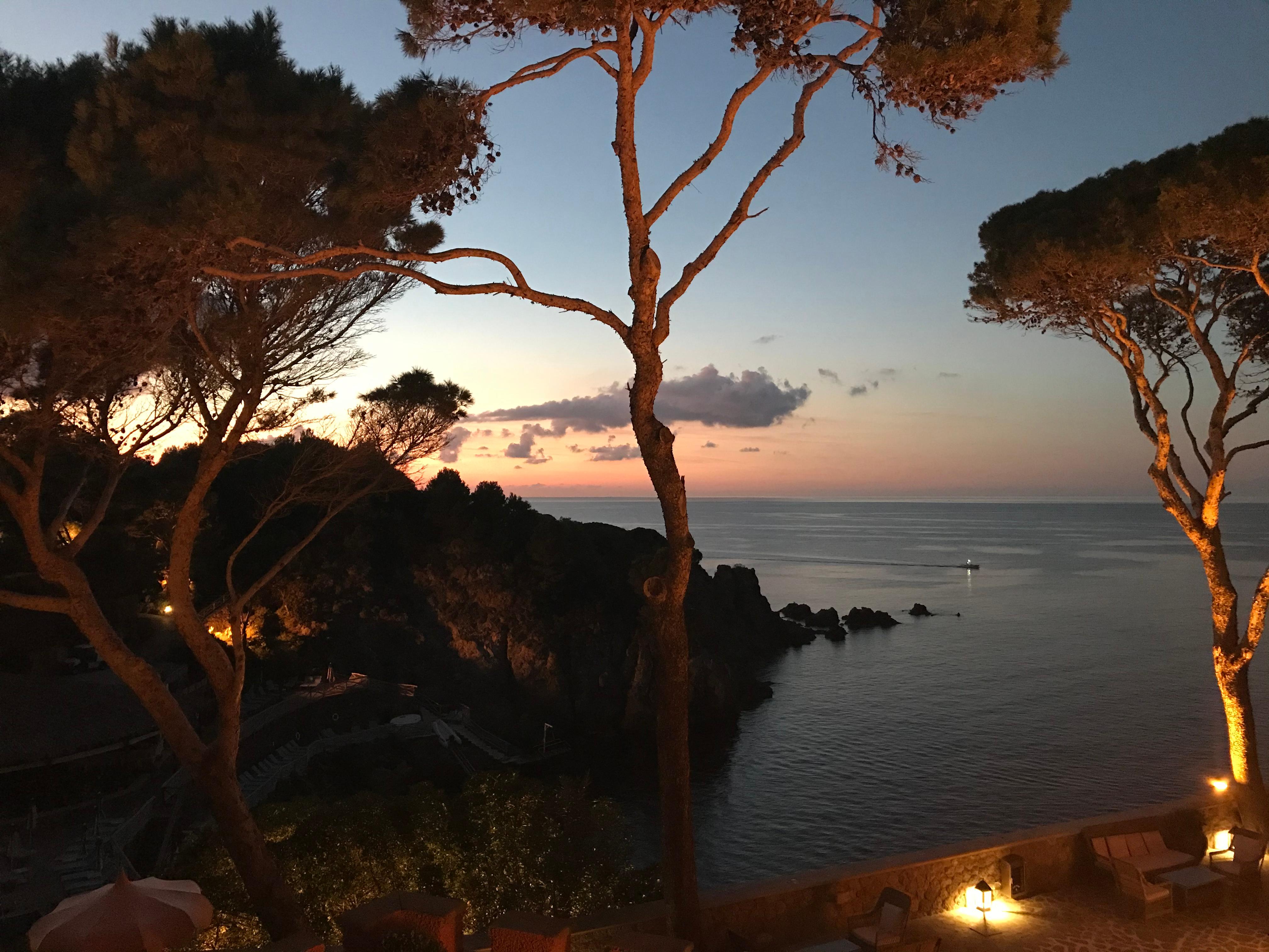 Night view of the grounds up lighting the umbrella pines