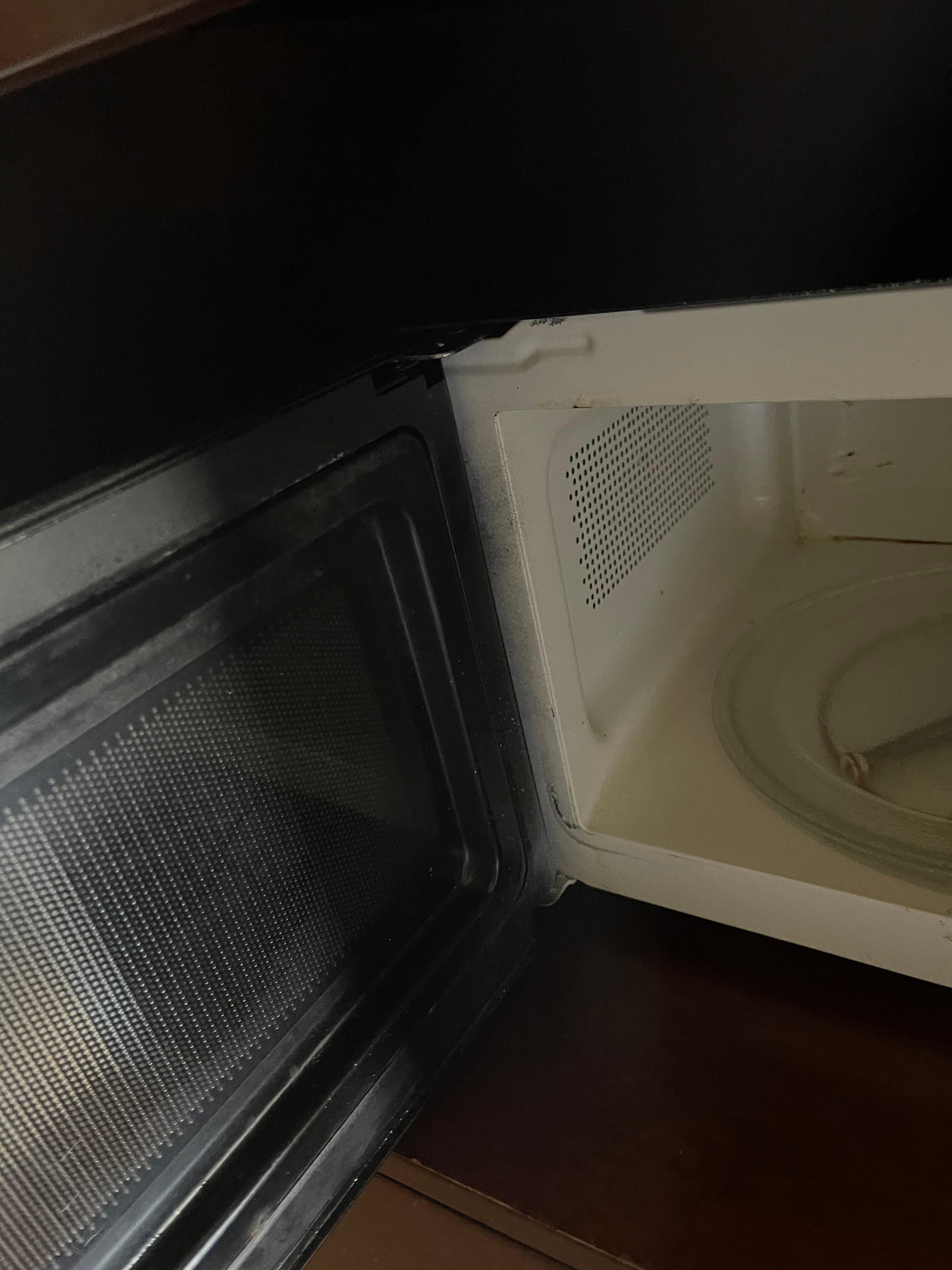 DISGUSTING MICROWAVE 