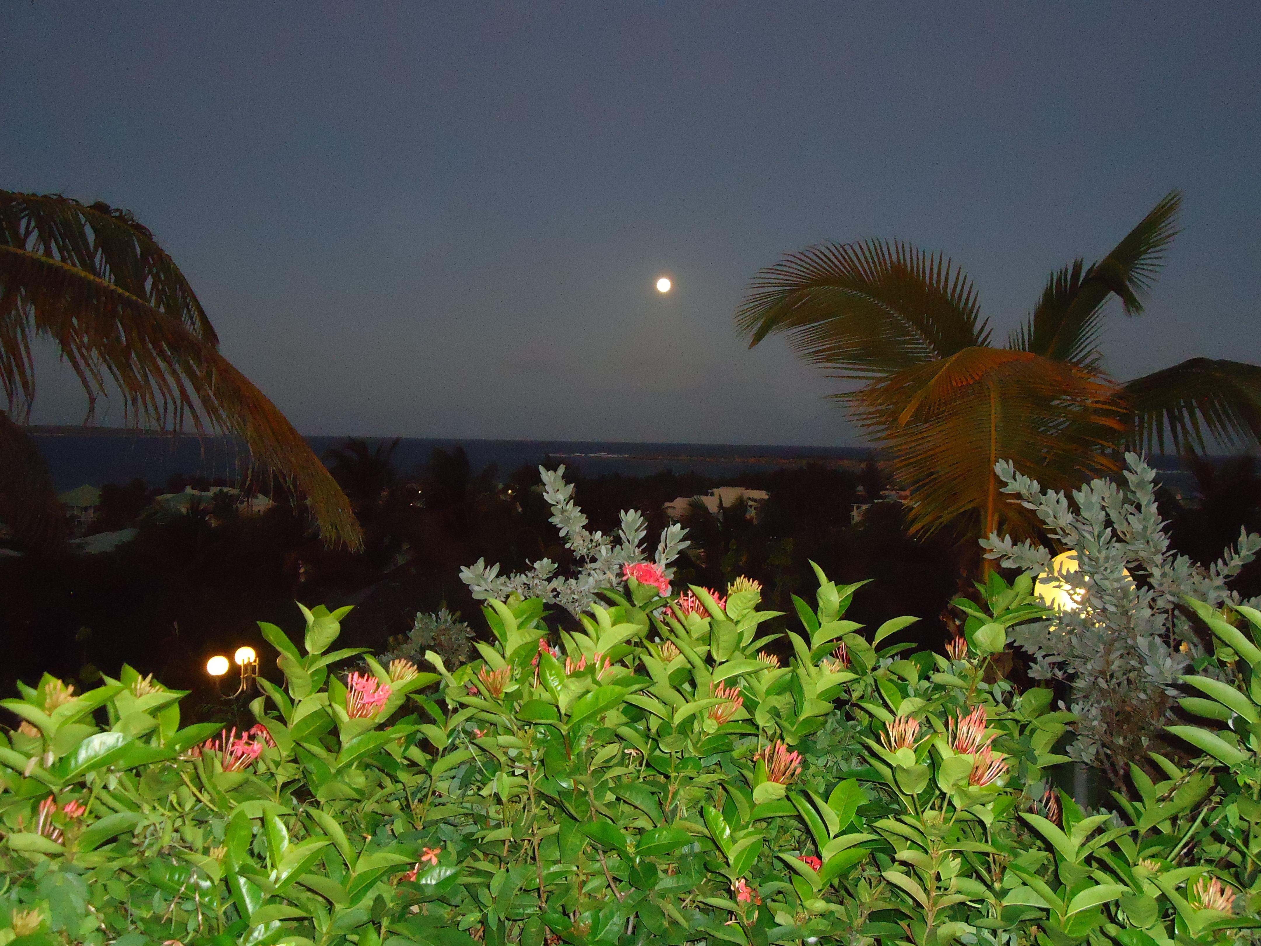 From the Deck