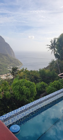 Infinity Pool with a view