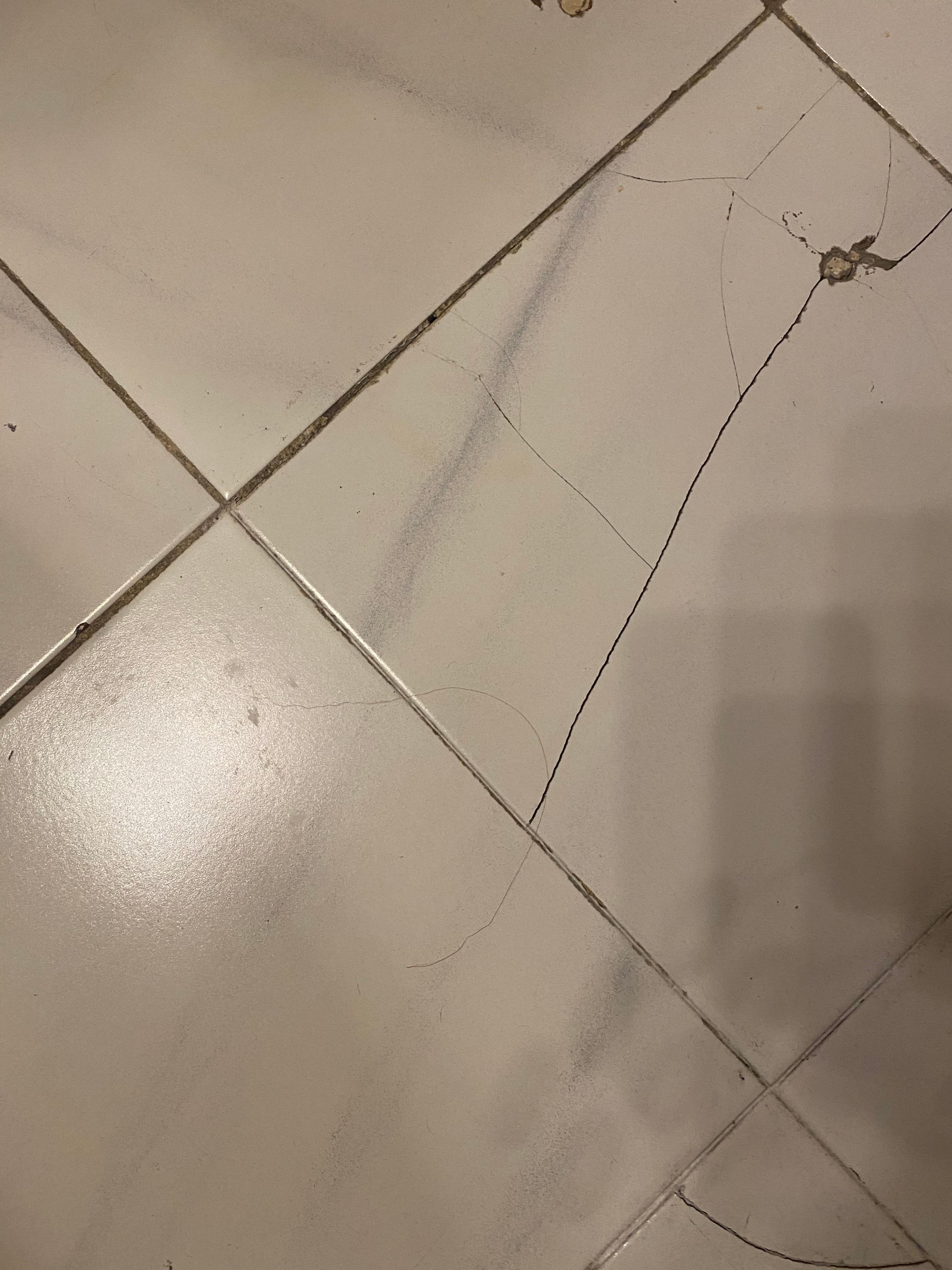 Pelos