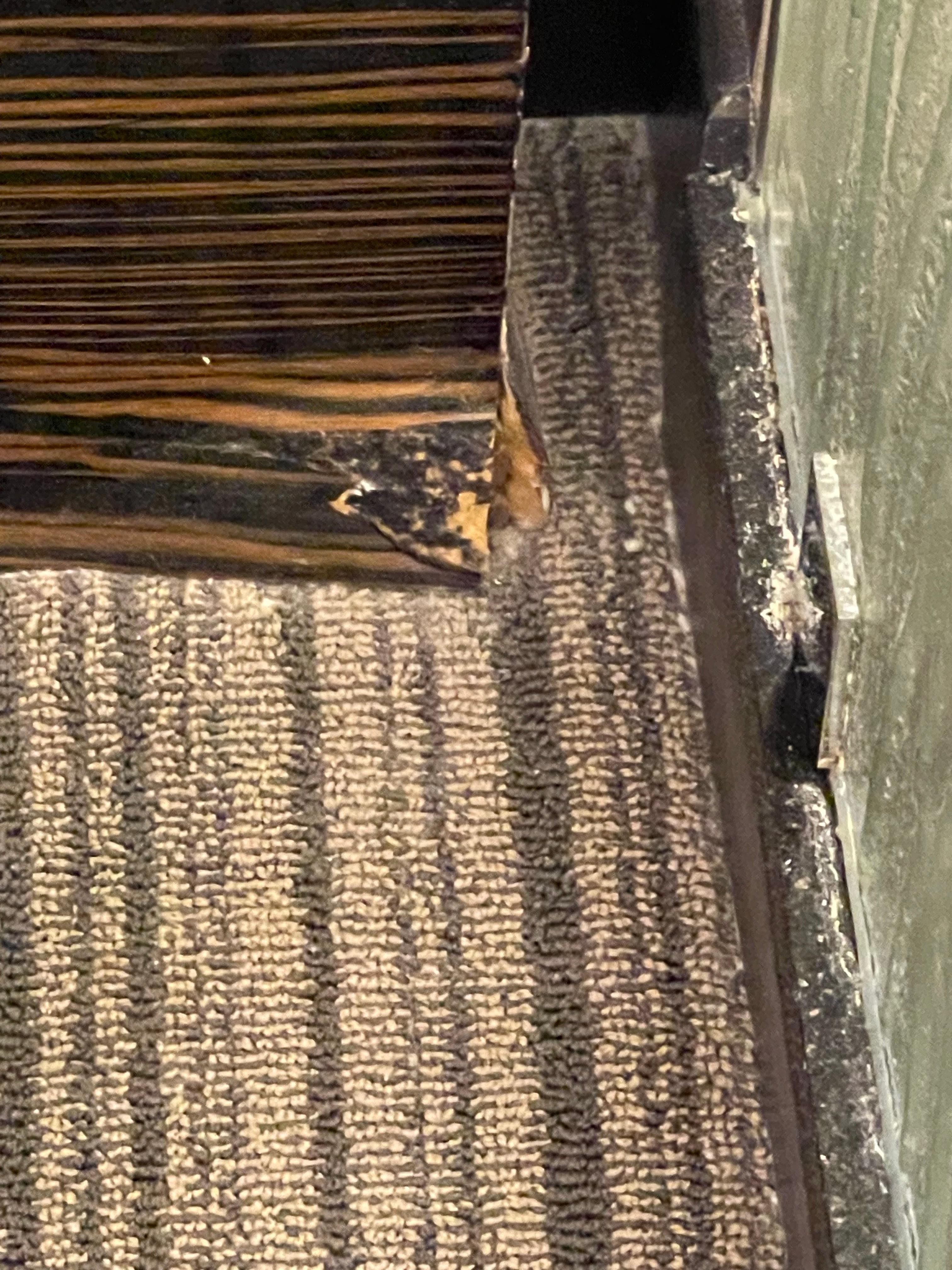 Looks like the shower leaked and no repair was done to damaged wood trim.