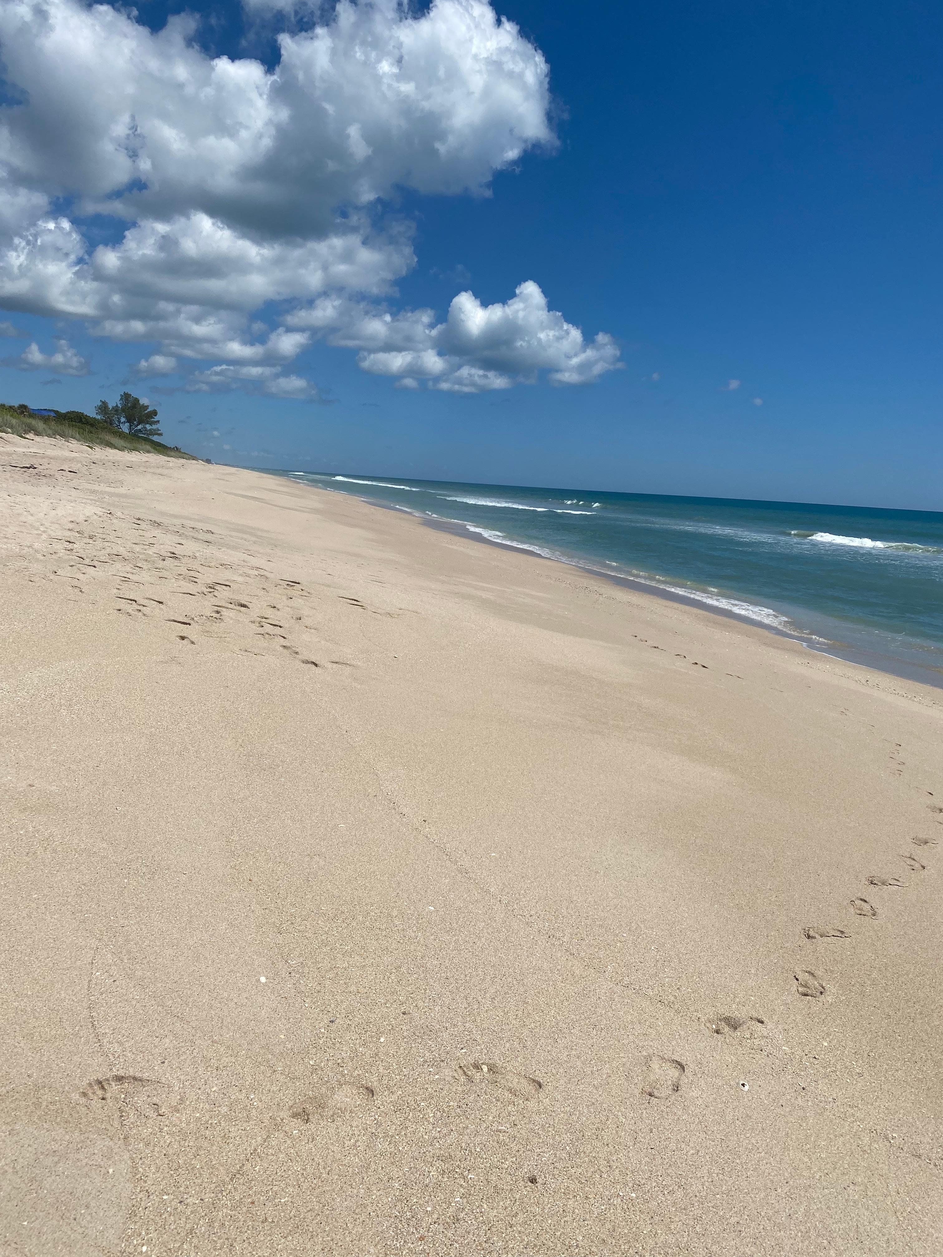 A little secret beach just down from Whiteys Bait and tackle across from River Oaks Rd before you get to Sebastian Inlet