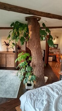 ツリーハウス!!