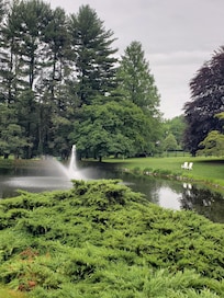 Pond