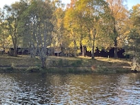 The loch which the lodges are situated around