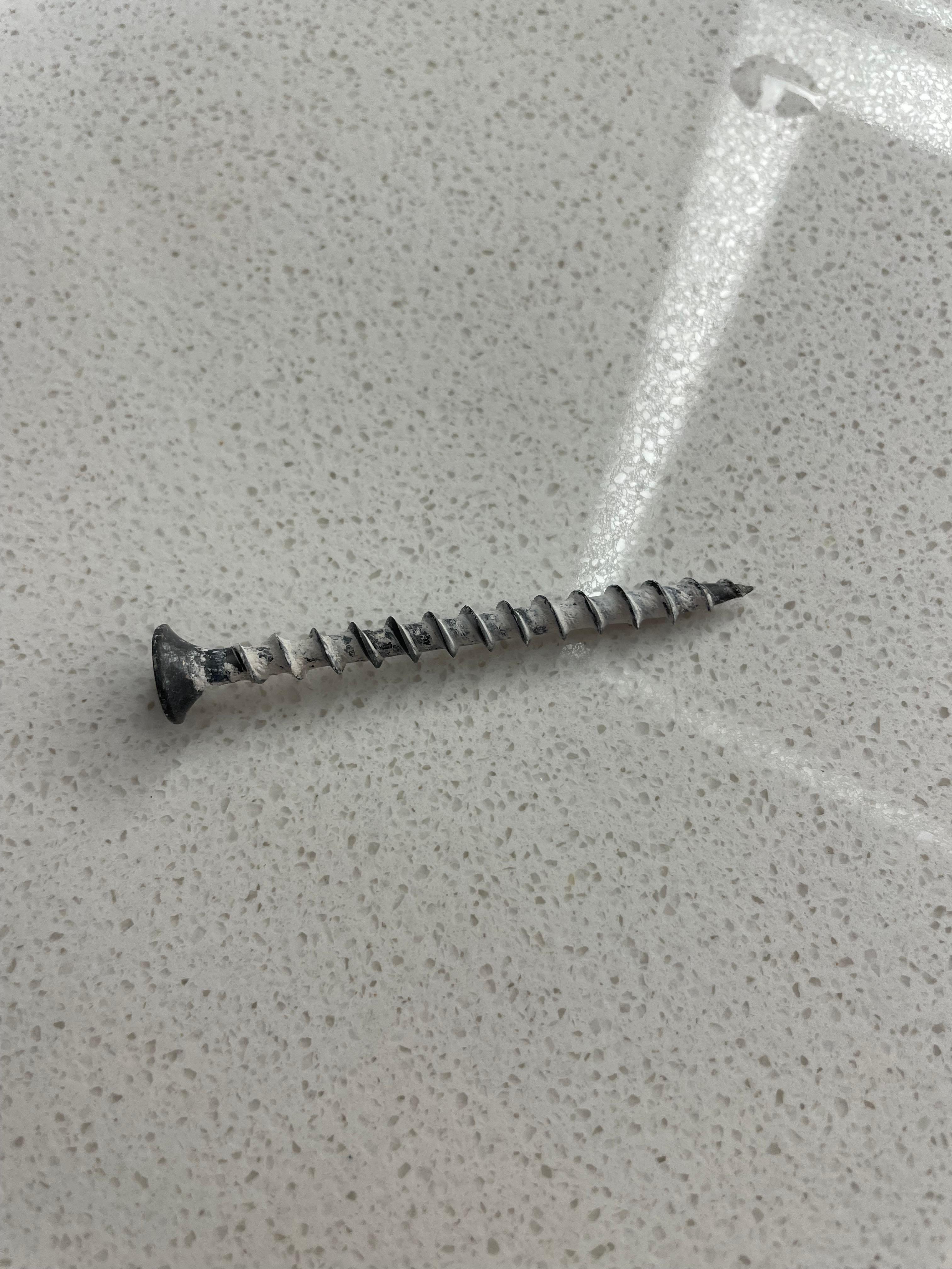 Large screw my puppy found on the bathroom floor