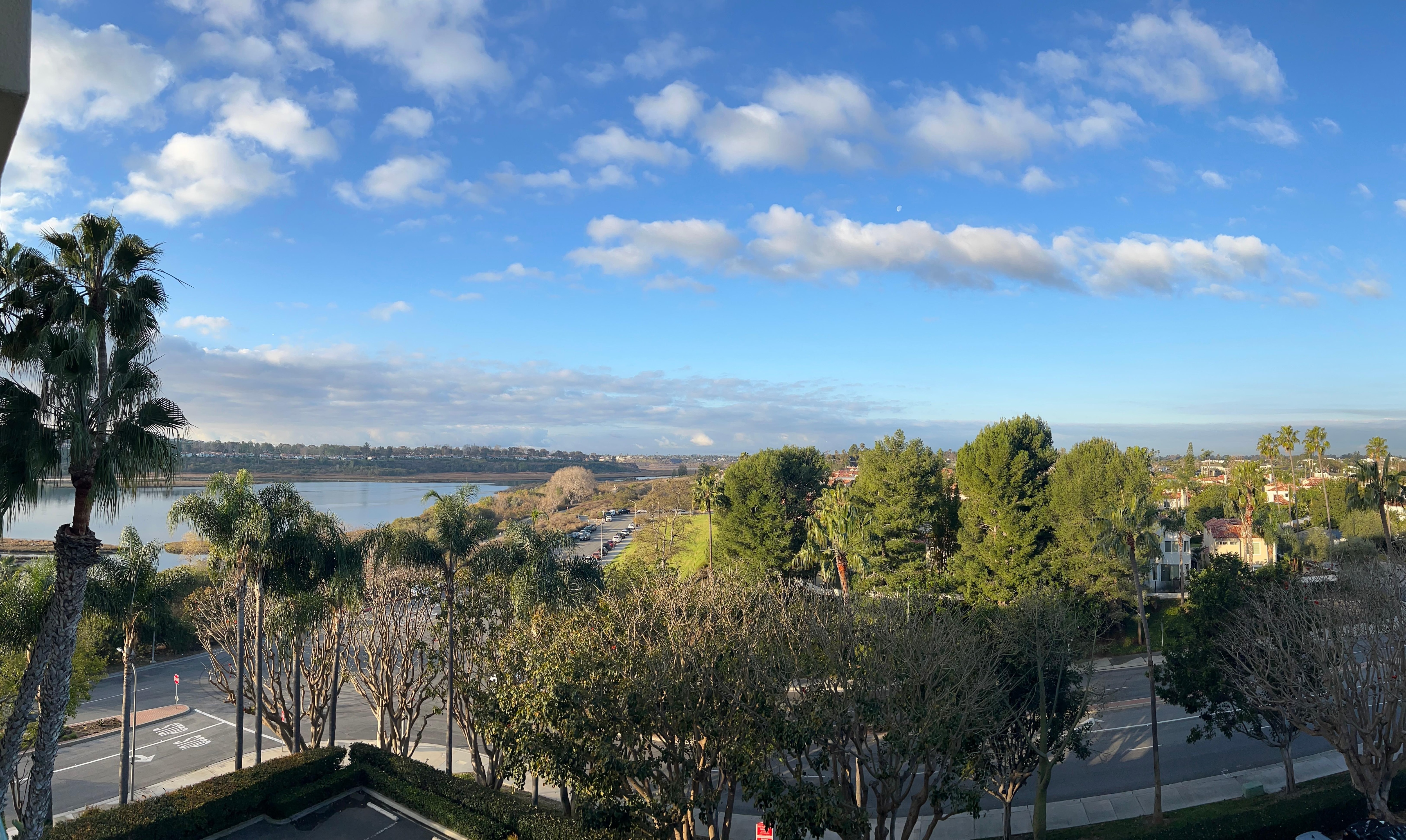 Peaceful view from 5th floor room