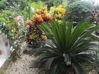 Tres beau Jardin