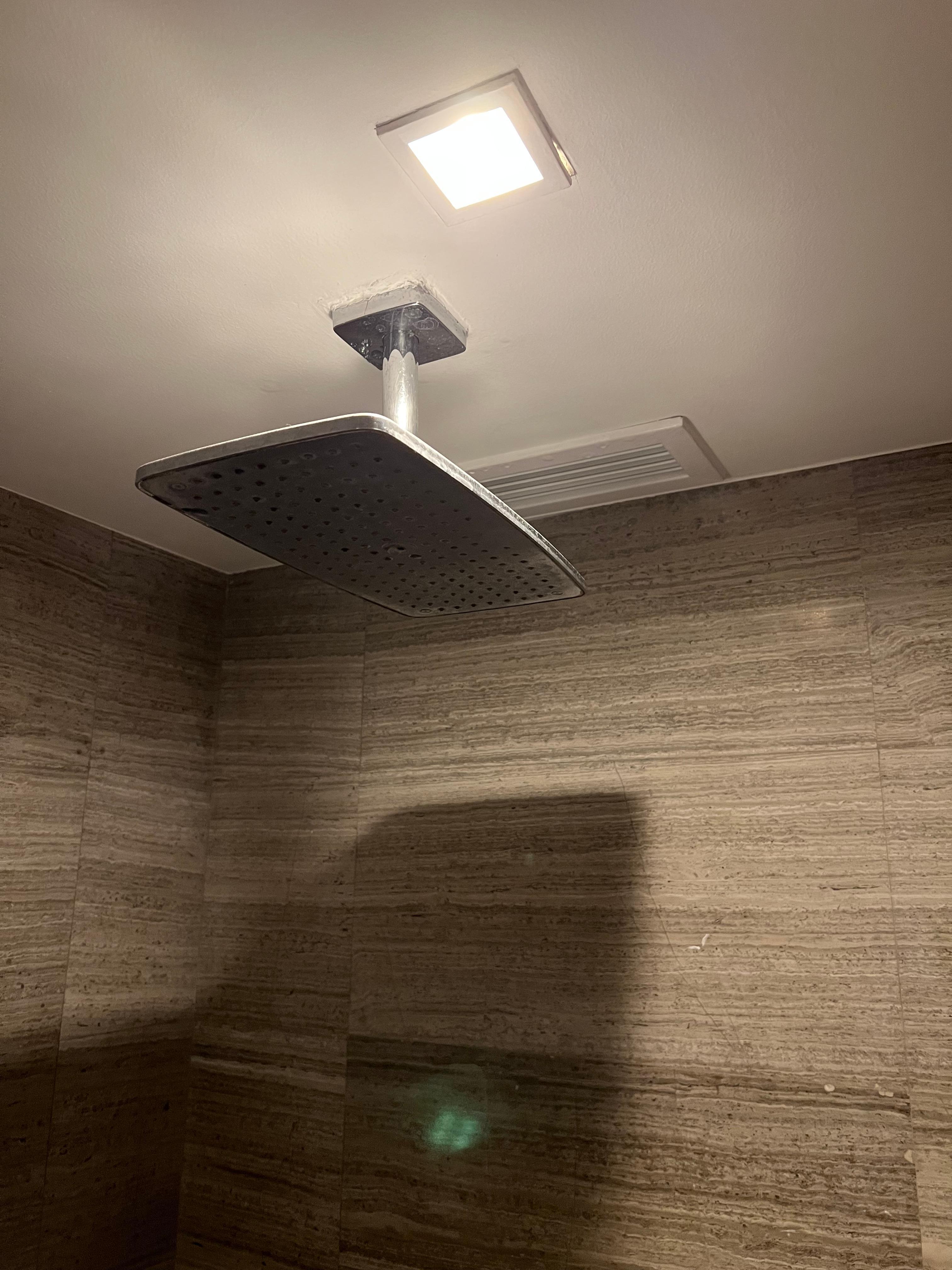 Shower fixture leaks.