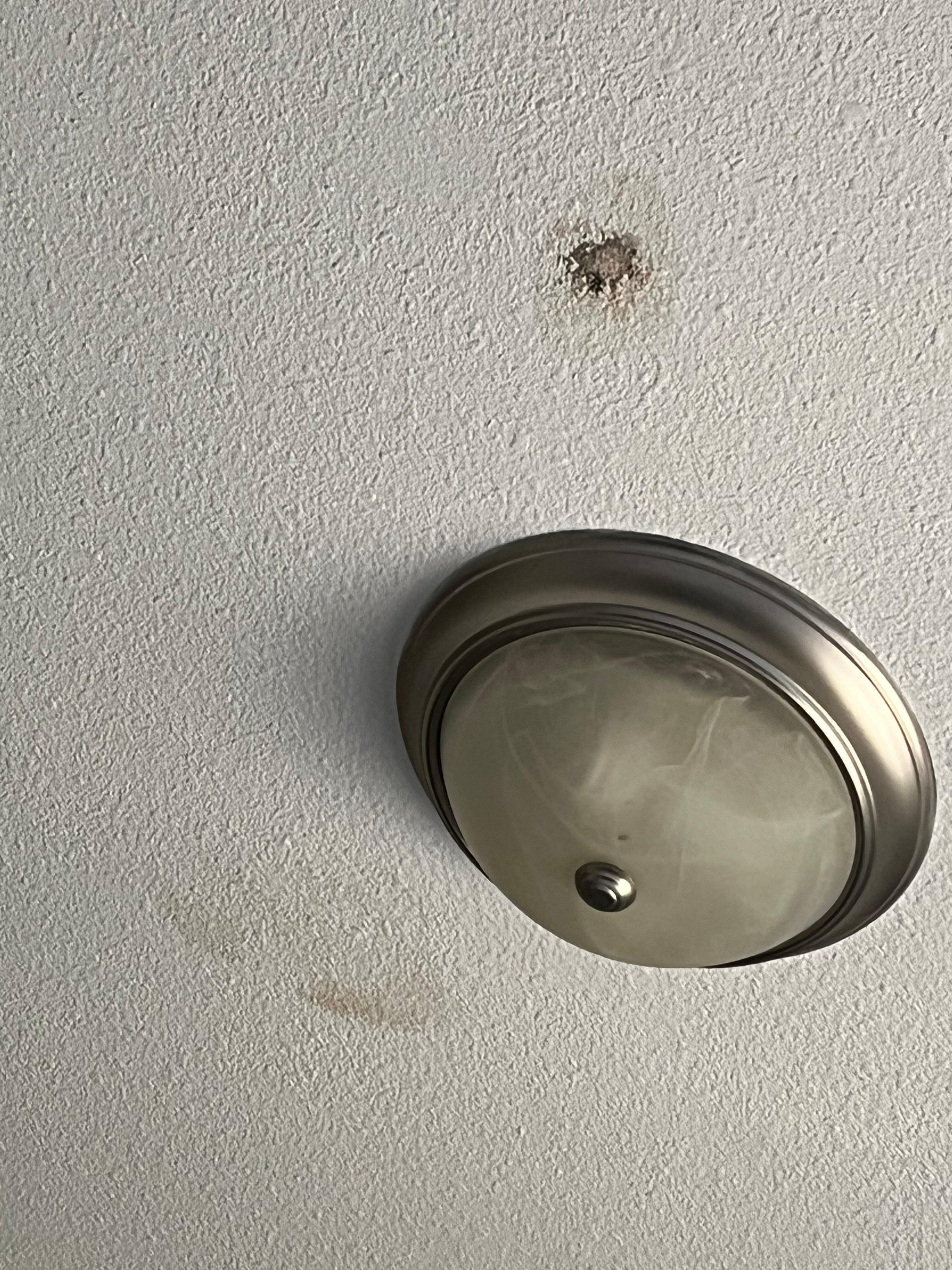 Stained ceiling in bedroom