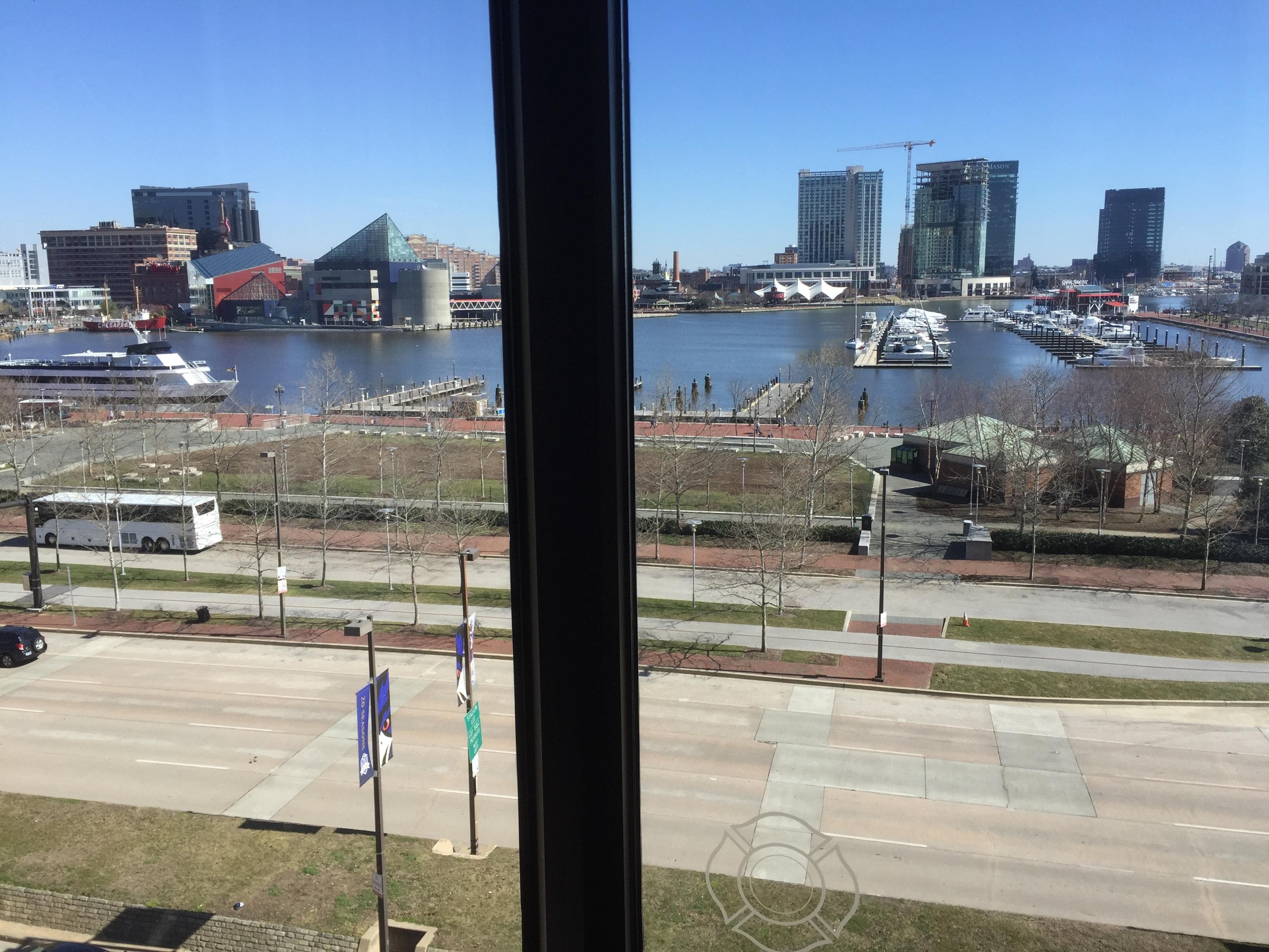 My view