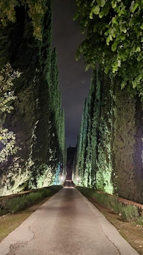 Viale di accesso con cipressi