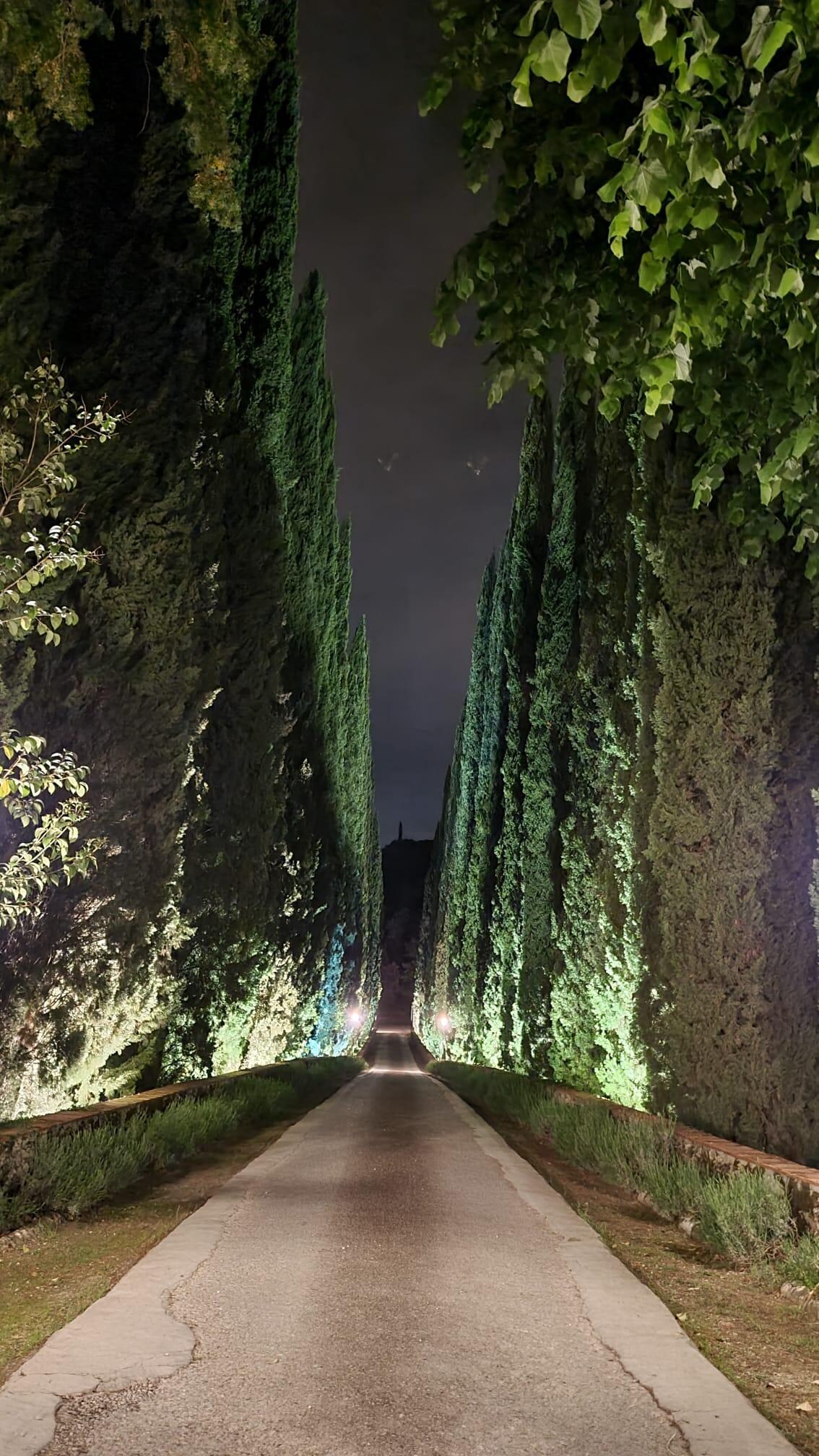 Viale di accesso con cipressi