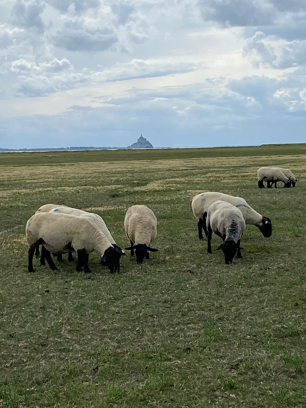 Les prés salés du Gué de l’Épine à quelques kilomètres 