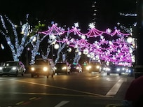 Orchard lightnings
