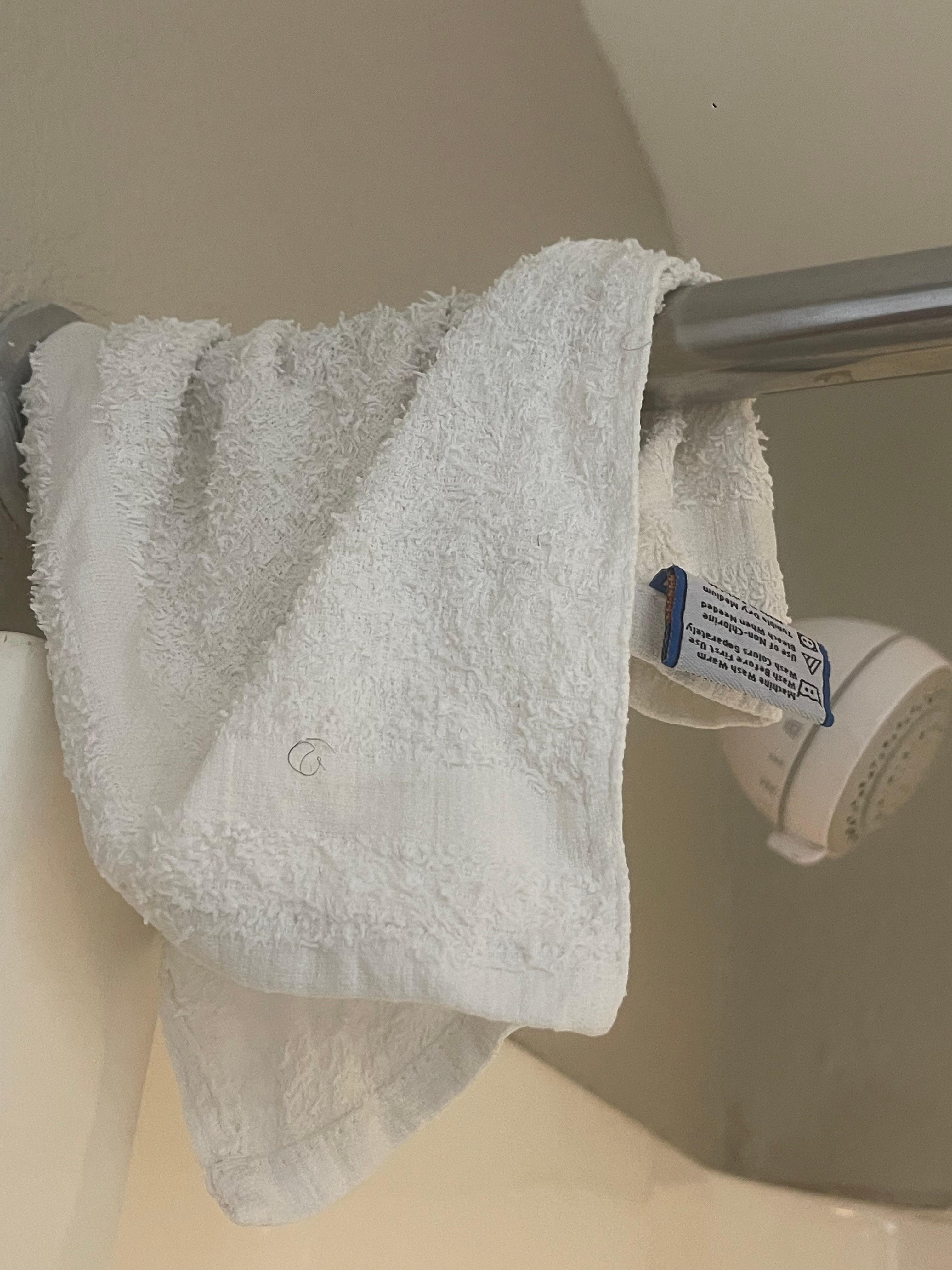 This was left from the previous tenant. Dirty towel with hair on it.  There was hair in the shower wall too.  