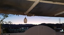 View from the roof