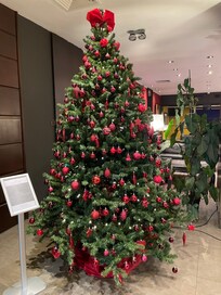 A lâentrĂ©e un eu sapin.
