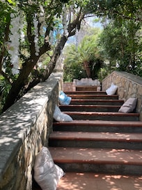 Lovely areas