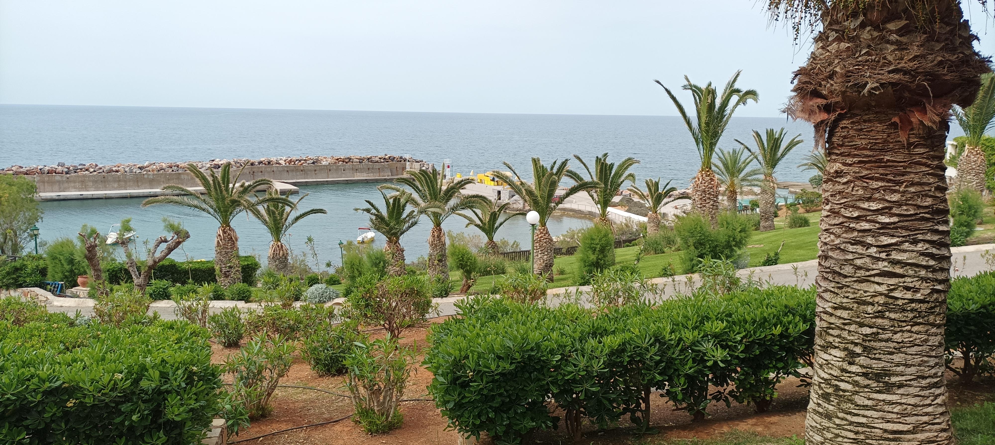 Vue de la terrasse de la chambre 